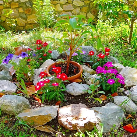 Kapougiati - Edipsos Sunny And Cozy Getaways 3*