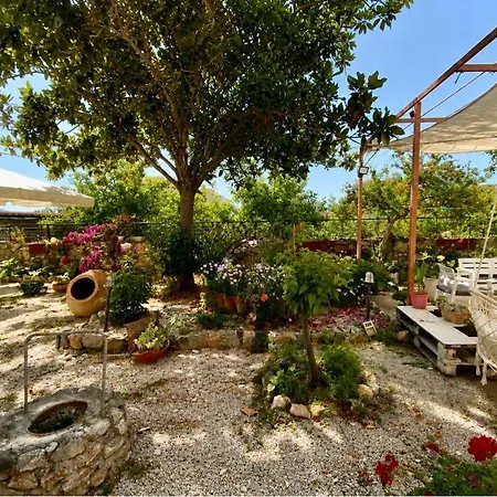 Kapougiati - Edipsos Sunny And Cozy Getaways 아파트호텔 3*